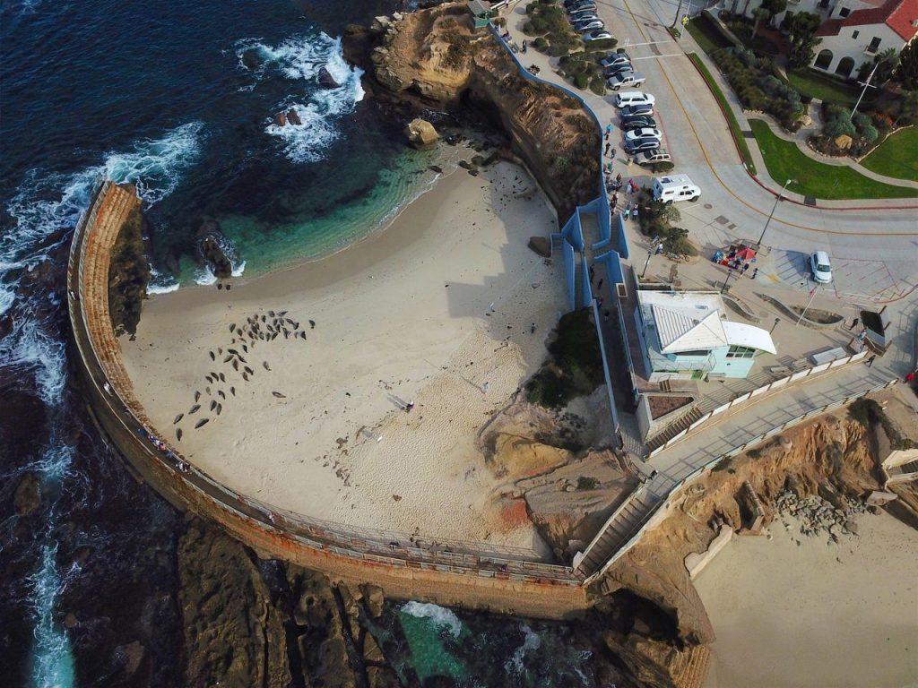 Things to see and do in San Diego - La Jolla Cove