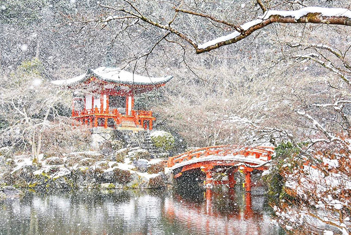 Производитель алкогольной продукции heavy snowfall kyoto japan 2017 46 587dd9511099b 700 Производитель алкогольной продукции heavy snowfall kyoto japan 2017 46 587dd9511099b 700
