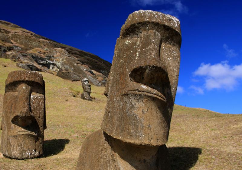 Производитель алкогольной продукции moai at rano raraku 1