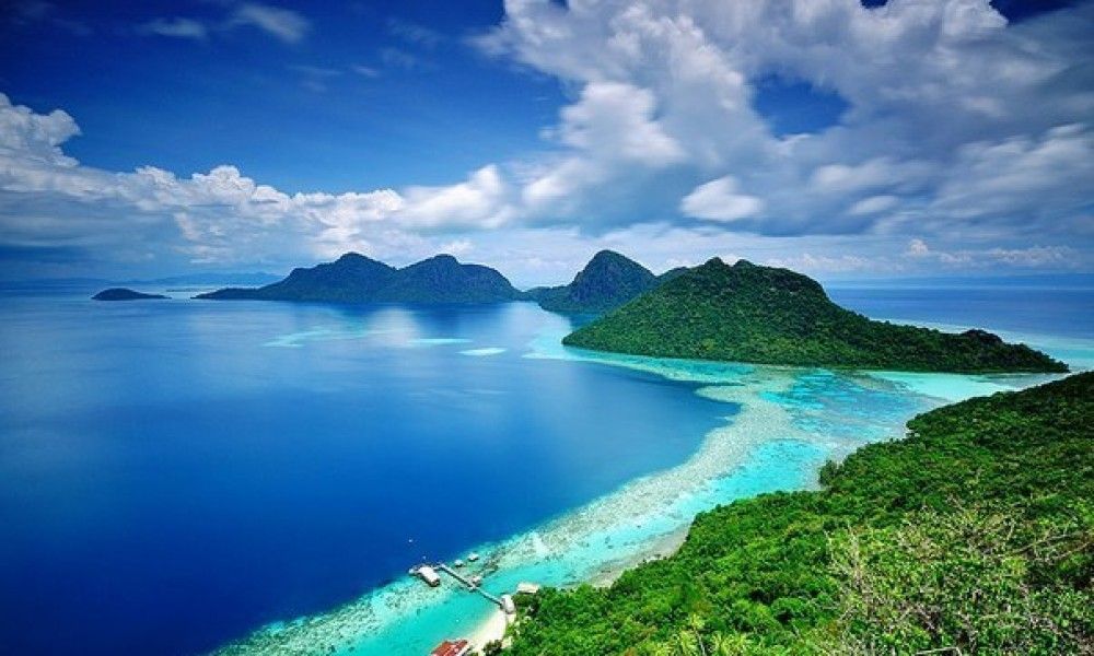 Производитель алкогольной продукции borneo005